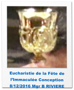 Eucharistie de la Fête de l’Immaculée Conception 8/12/2016 Mgr B RIVIERE